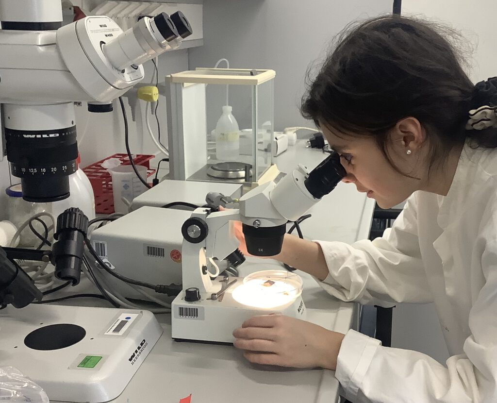 2026_Sophie_Jugendforscht (1)